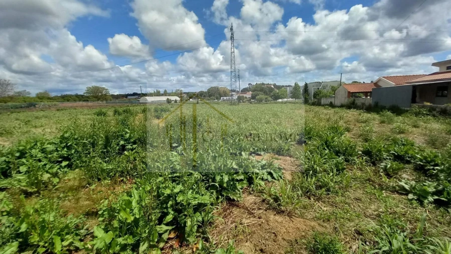 Terreno para Venda em Avanca Foto 14