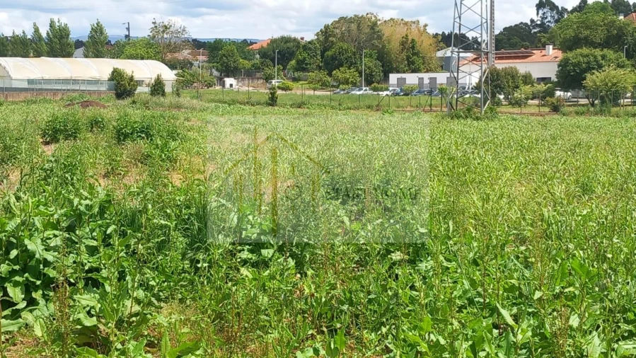 Terreno para Venda em Avanca Foto 12