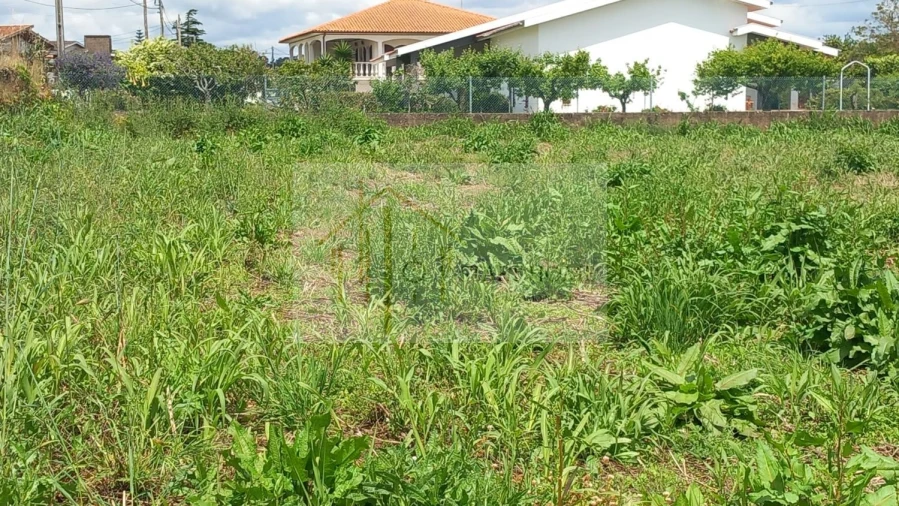 Terreno para Venda em Avanca Foto 22
