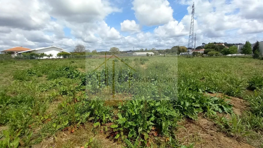 Terreno para Venda em Avanca Foto 13