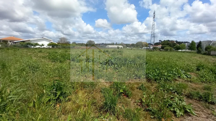 Terreno para Venda em Avanca Foto 15