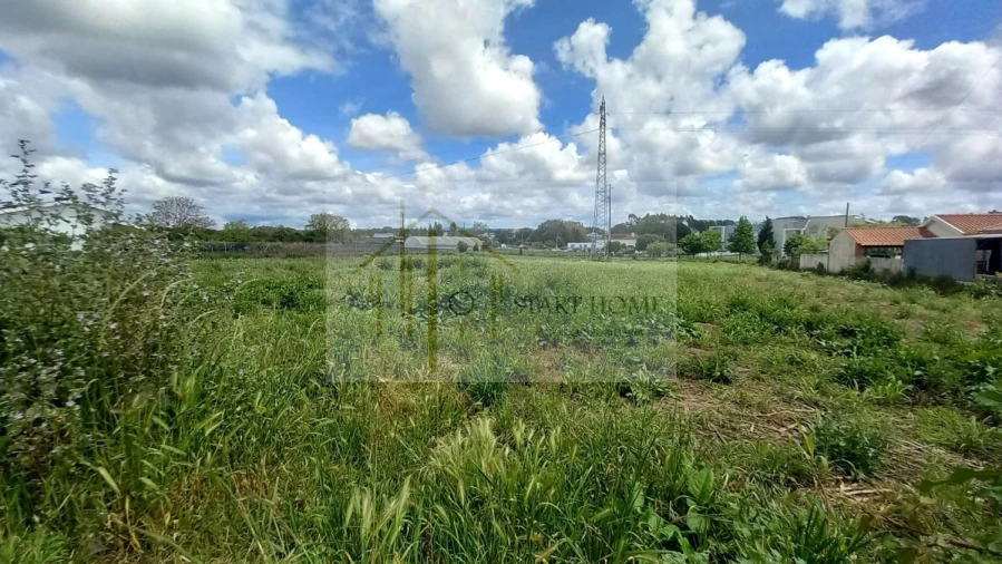 Terreno para Venda em Avanca Foto 4