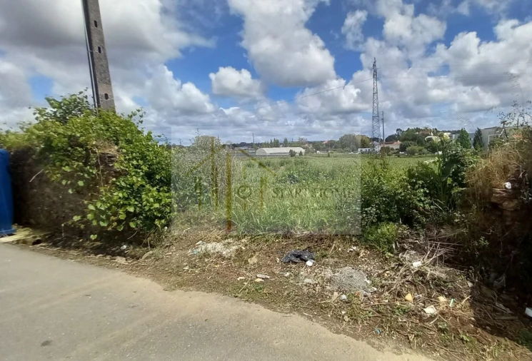 Terreno para Venda em Avanca Foto 21