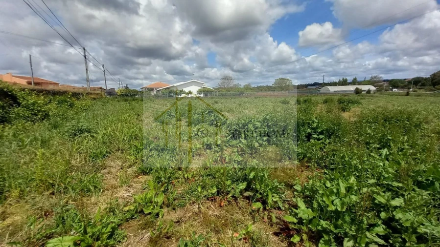 Terreno para Venda em Avanca Foto 19