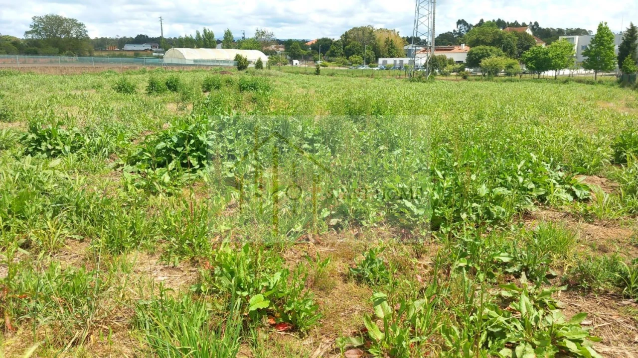 Terreno para Venda em Avanca Foto 11