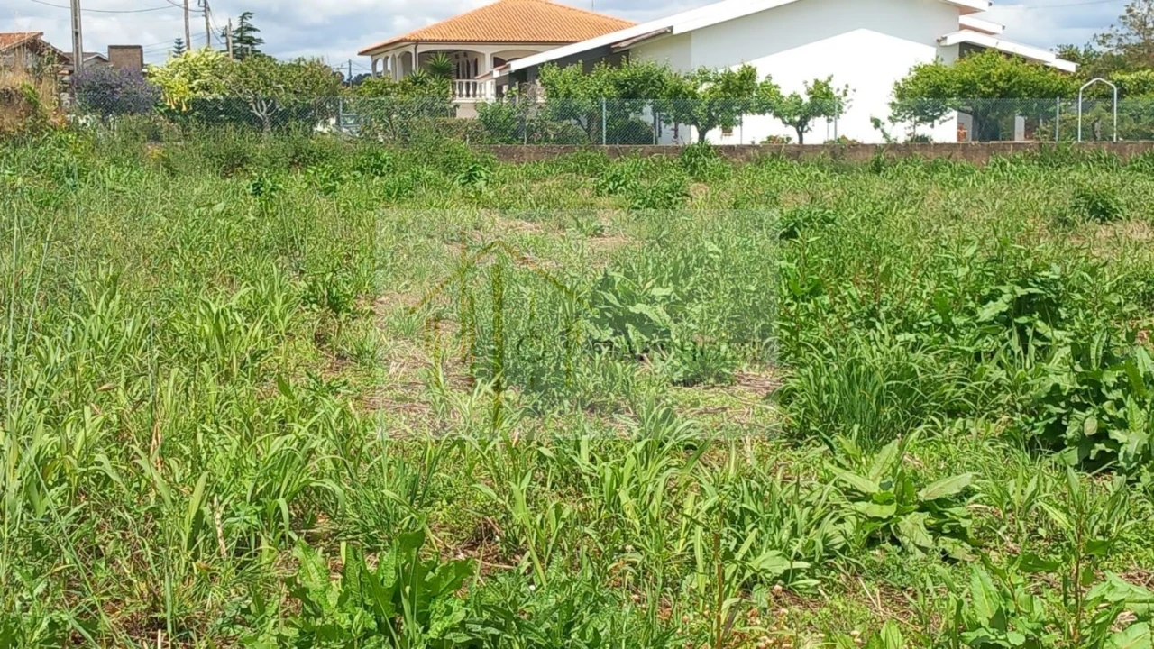 Terreno para Venda em Avanca Foto 22