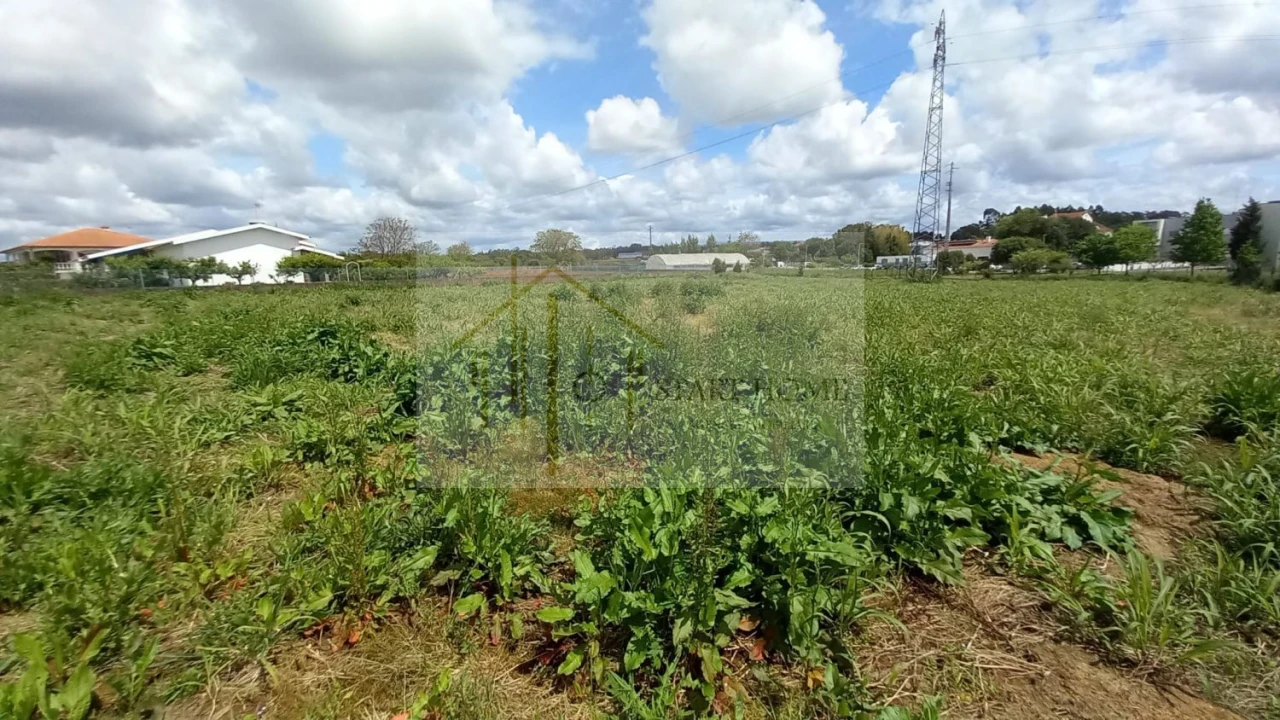 Terreno para Venda em Avanca Foto 13