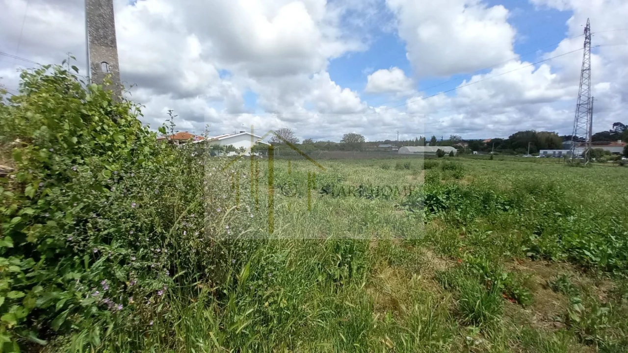 Terreno para Venda em Avanca Foto 6