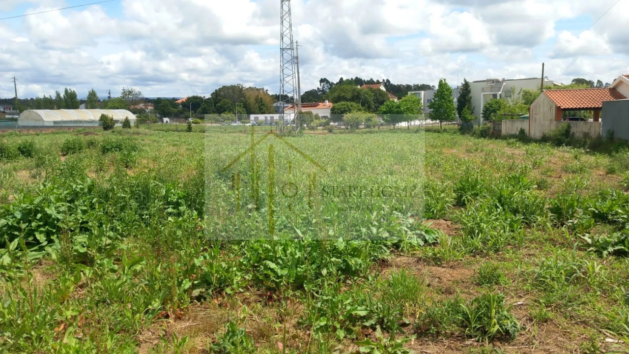 Terreno para Venda em Avanca Foto 10