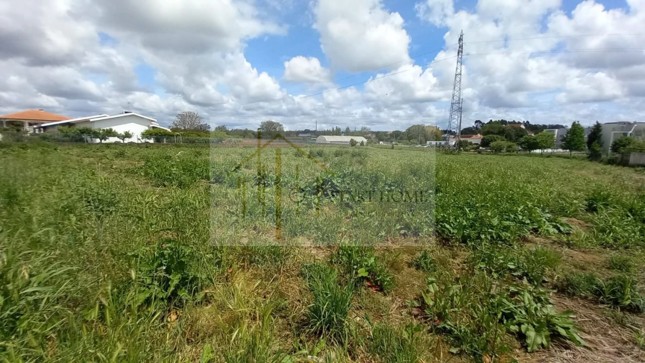 Terreno para Venda em Avanca Foto 15