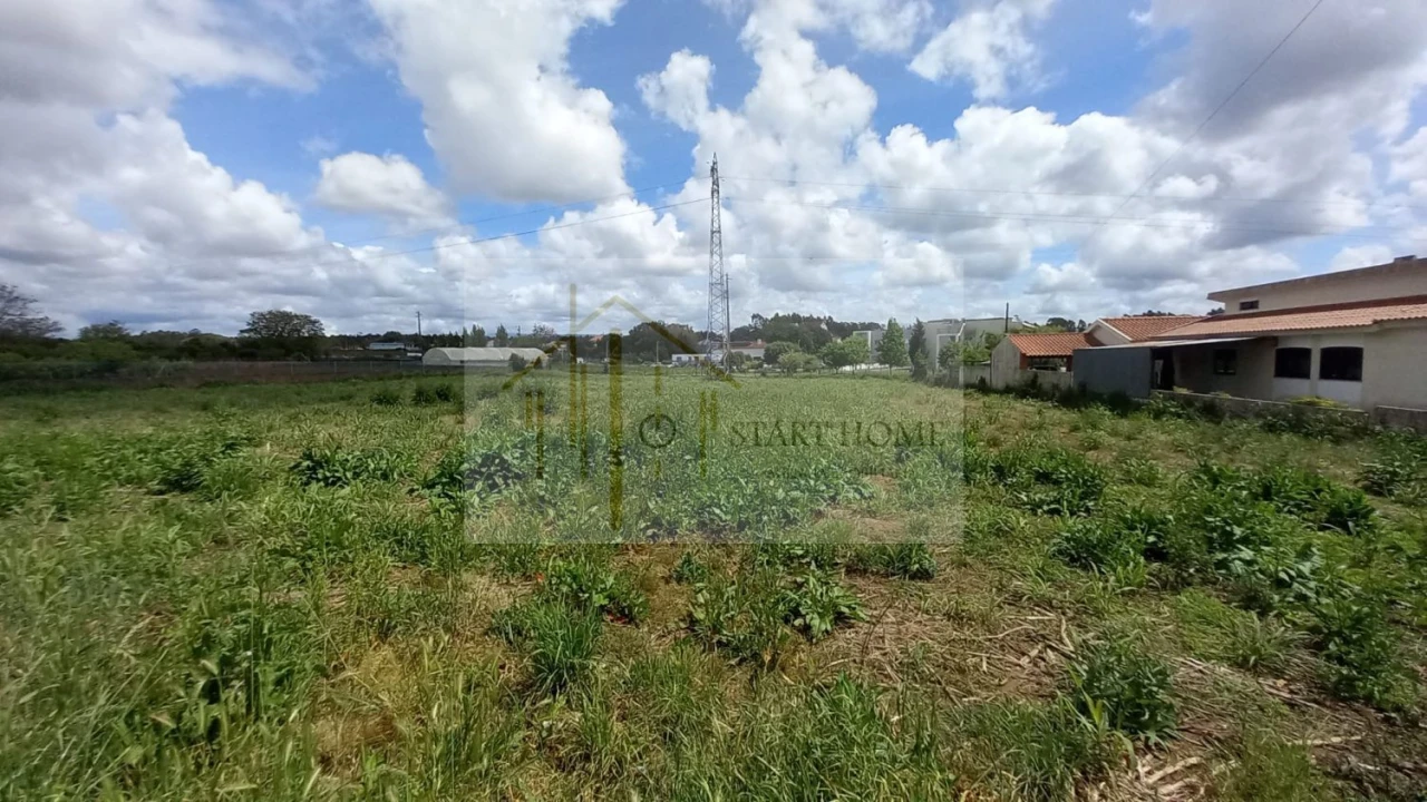 Terreno para Venda em Avanca Foto 8