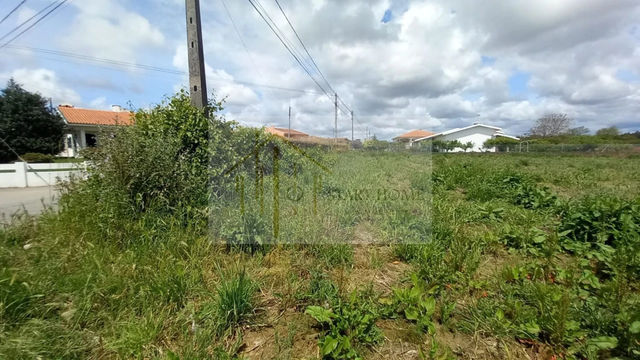 Terreno para Venda em Avanca Foto 18