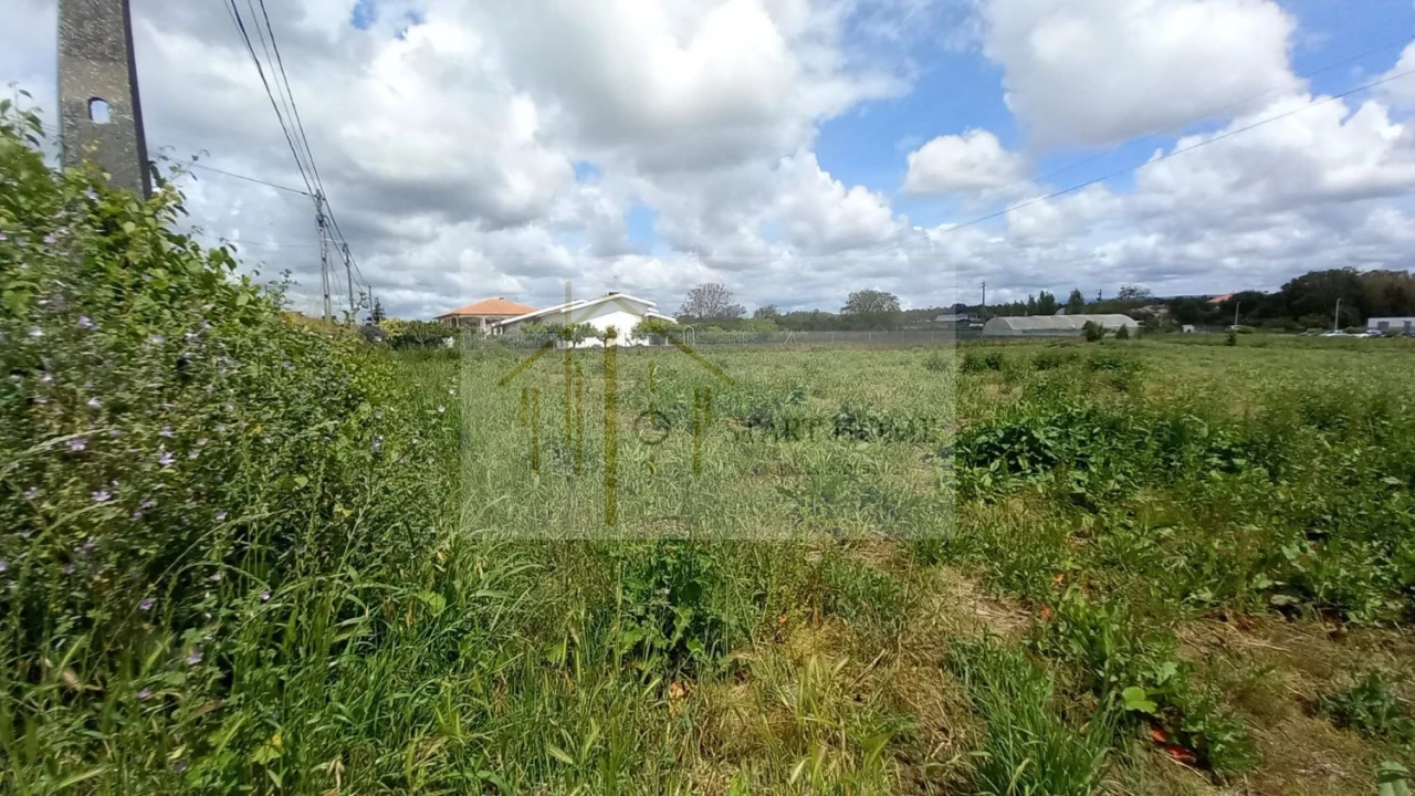 Terreno para Venda em Avanca Foto 7