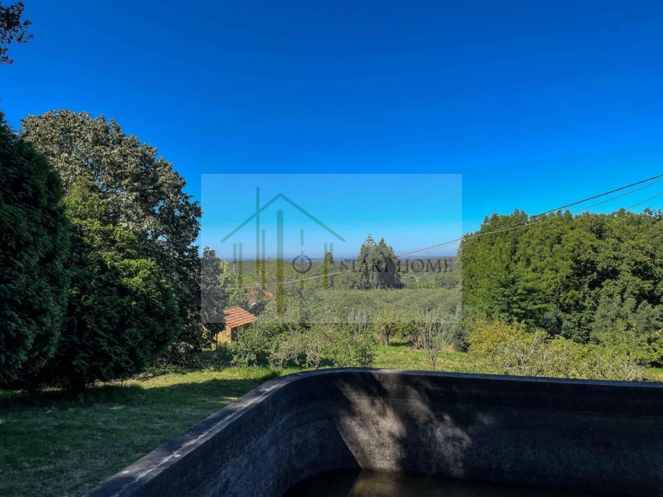 Quinta T6 para Venda em Valongo do Vouga Foto 25