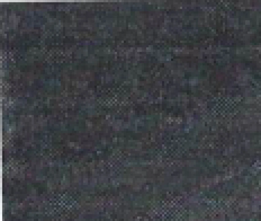 Quinta T6 para Venda em Valongo do Vouga Foto 58