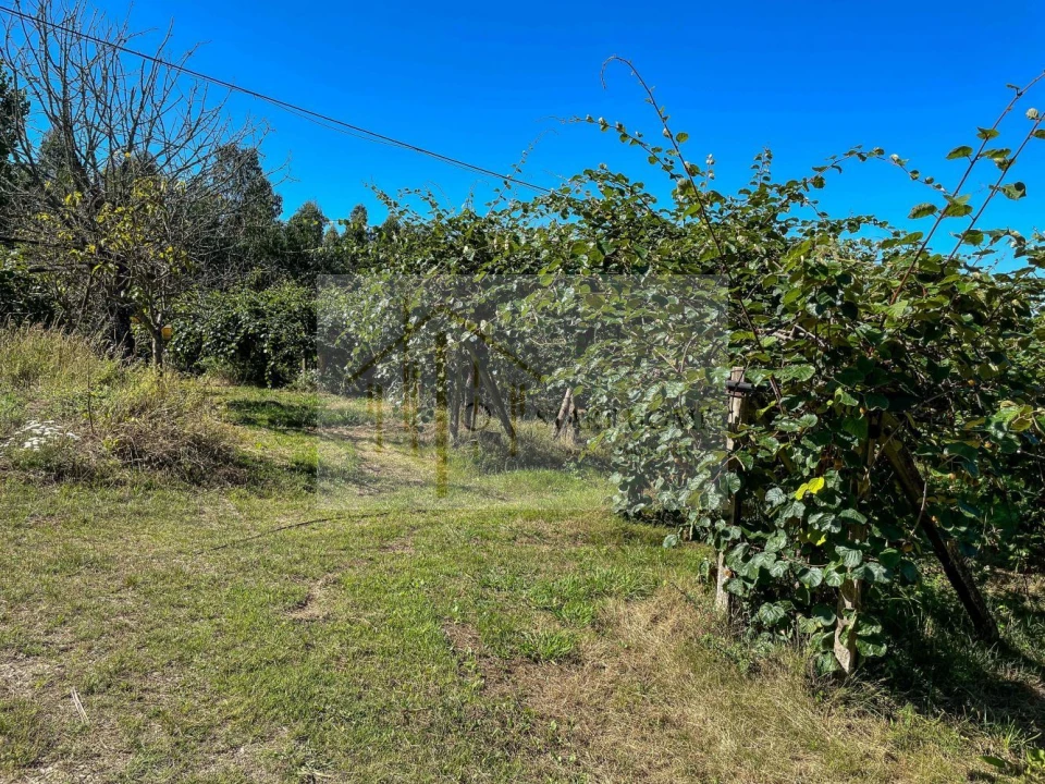 Quinta T6 para Venda em Valongo do Vouga Foto 22