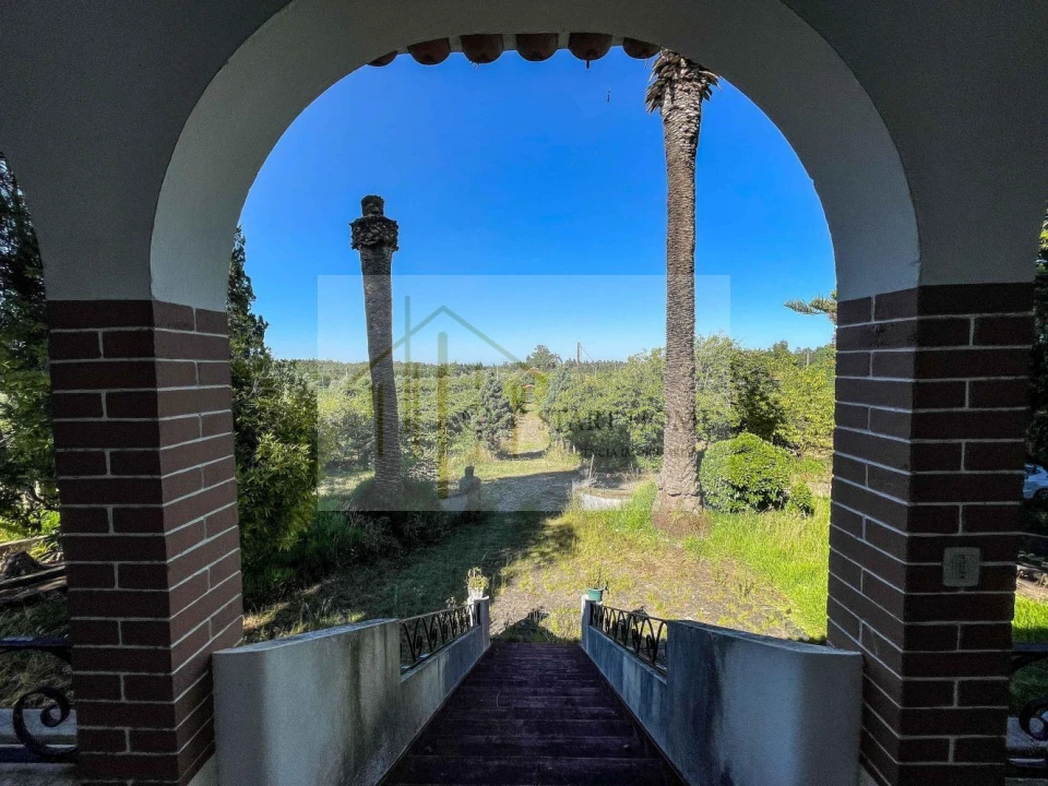 Quinta T6 para Venda em Valongo do Vouga Foto 35