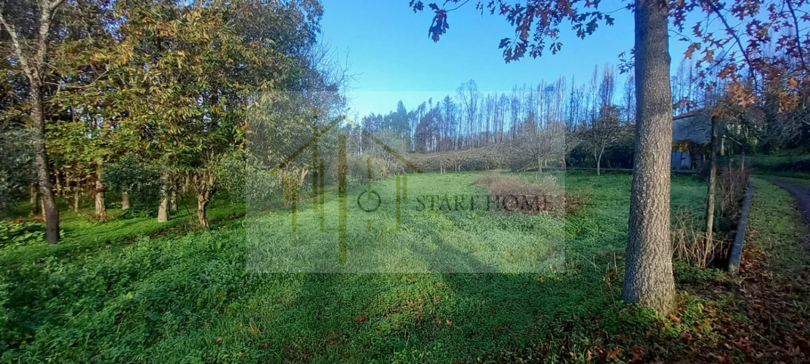 Quinta T6 para Venda em Valongo do Vouga Foto 39