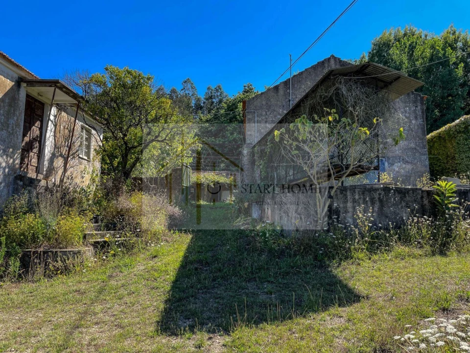 Quinta T6 para Venda em Valongo do Vouga Foto 16