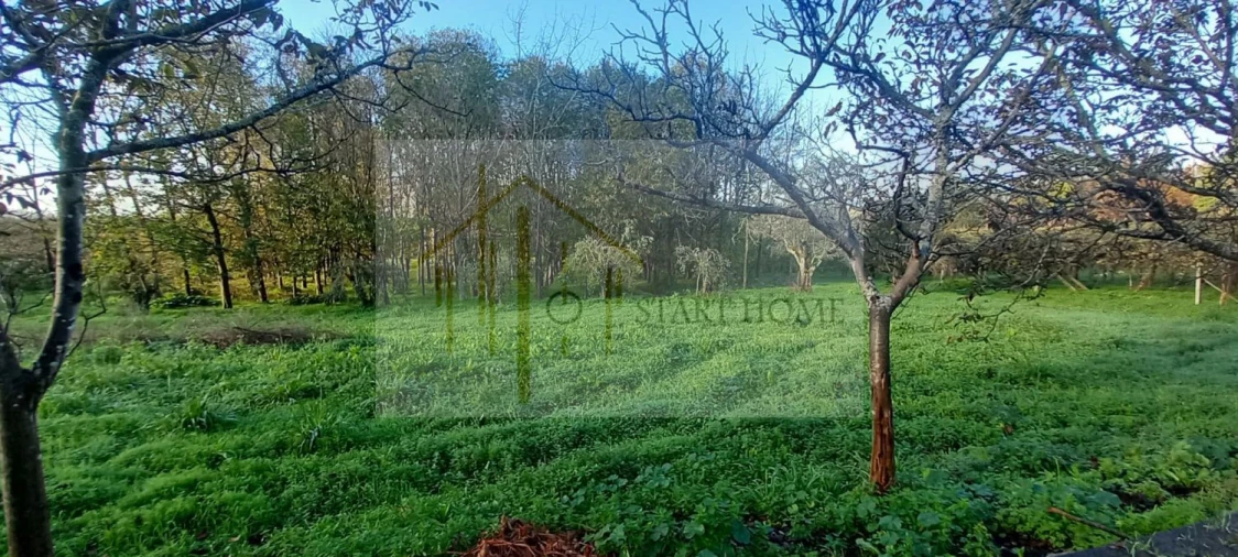 Quinta T6 para Venda em Valongo do Vouga Foto 40