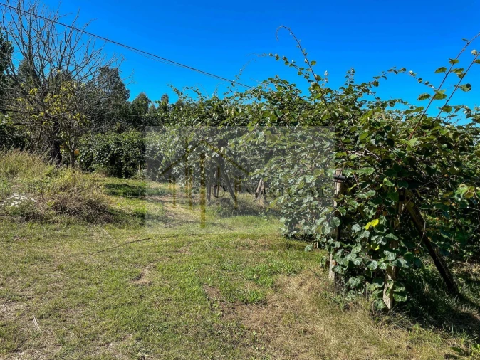 Quinta T6 para Venda em Valongo do Vouga Foto 22