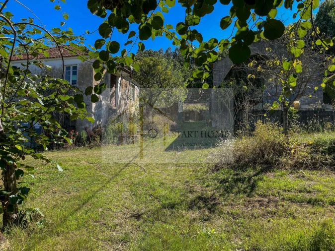 Quinta T6 para Venda em Valongo do Vouga Foto 15