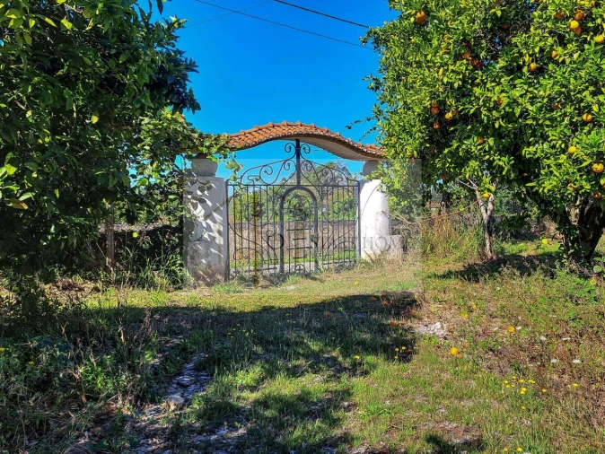 Quinta T6 para Venda em Valongo do Vouga Foto 32