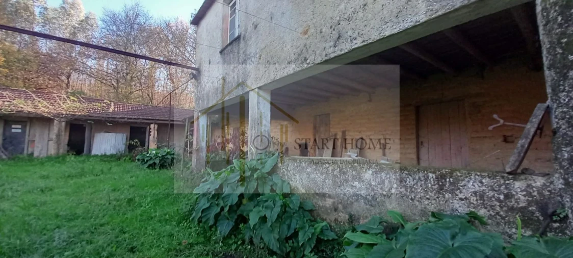 Quinta T6 para Venda em Valongo do Vouga Foto 45