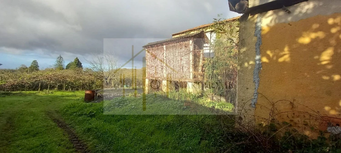 Quinta T6 para Venda em Valongo do Vouga Foto 56