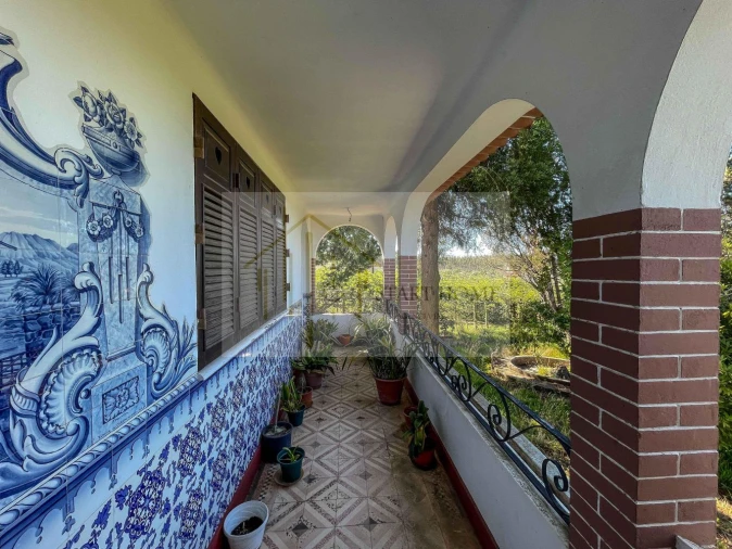 Quinta T6 para Venda em Valongo do Vouga Foto 38