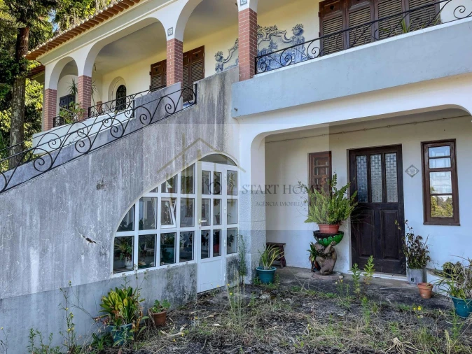 Quinta T6 para Venda em Valongo do Vouga Foto 3