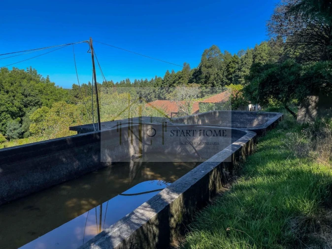 Quinta T6 para Venda em Valongo do Vouga Foto 23