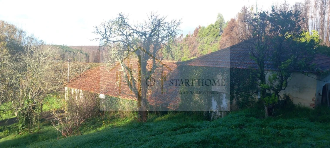 Quinta T6 para Venda em Valongo do Vouga Foto 51