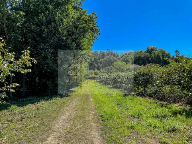 Quinta T6 para Venda em Valongo do Vouga Foto 31