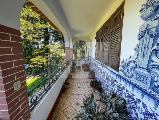 Quinta T6 para Venda em Valongo do Vouga Foto 34