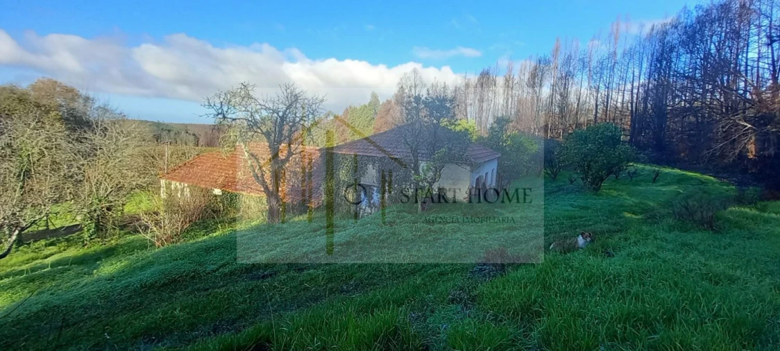 Quinta T6 para Venda em Valongo do Vouga Foto 52