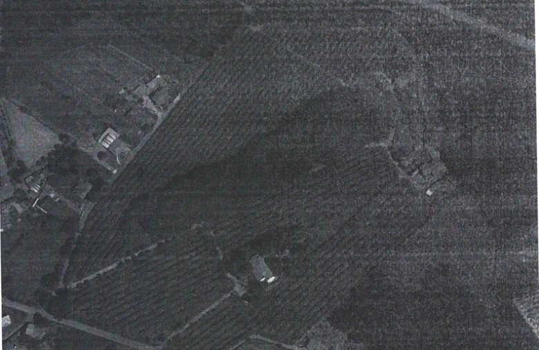 Quinta T6 para Venda em Valongo do Vouga Foto 59