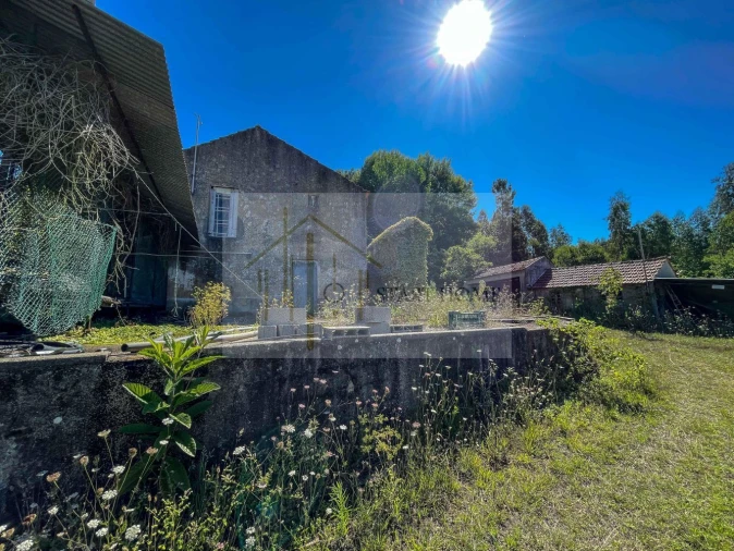 Quinta T6 para Venda em Valongo do Vouga Foto 20