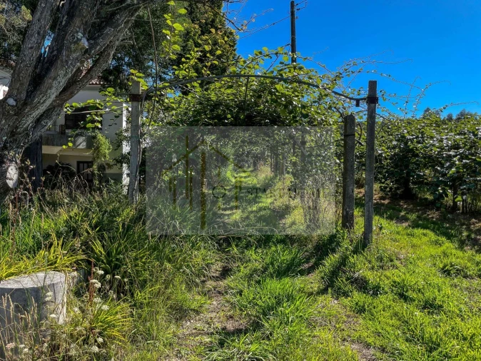 Quinta T6 para Venda em Valongo do Vouga Foto 5