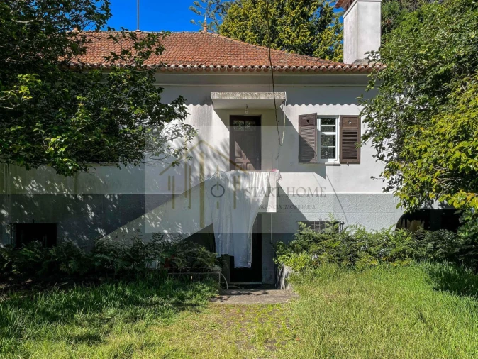 Quinta T6 para Venda em Valongo do Vouga Foto 9