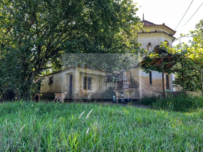 Quinta T6 para Venda em Valongo do Vouga Foto 10