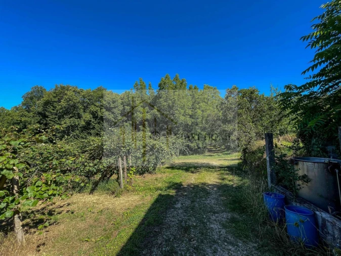 Quinta T6 para Venda em Valongo do Vouga Foto 19