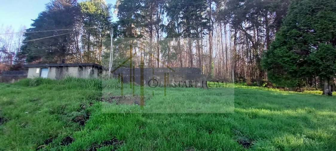 Quinta T6 para Venda em Valongo do Vouga Foto 46