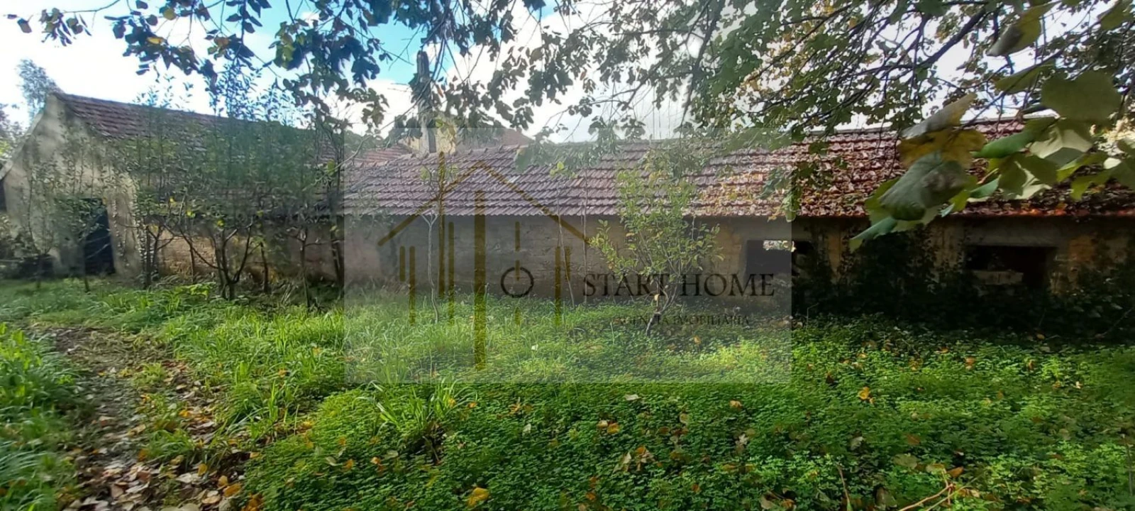 Quinta T6 para Venda em Valongo do Vouga Foto 53