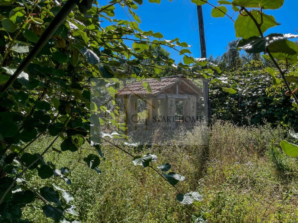 Quinta T6 para Venda em Valongo do Vouga Foto 11