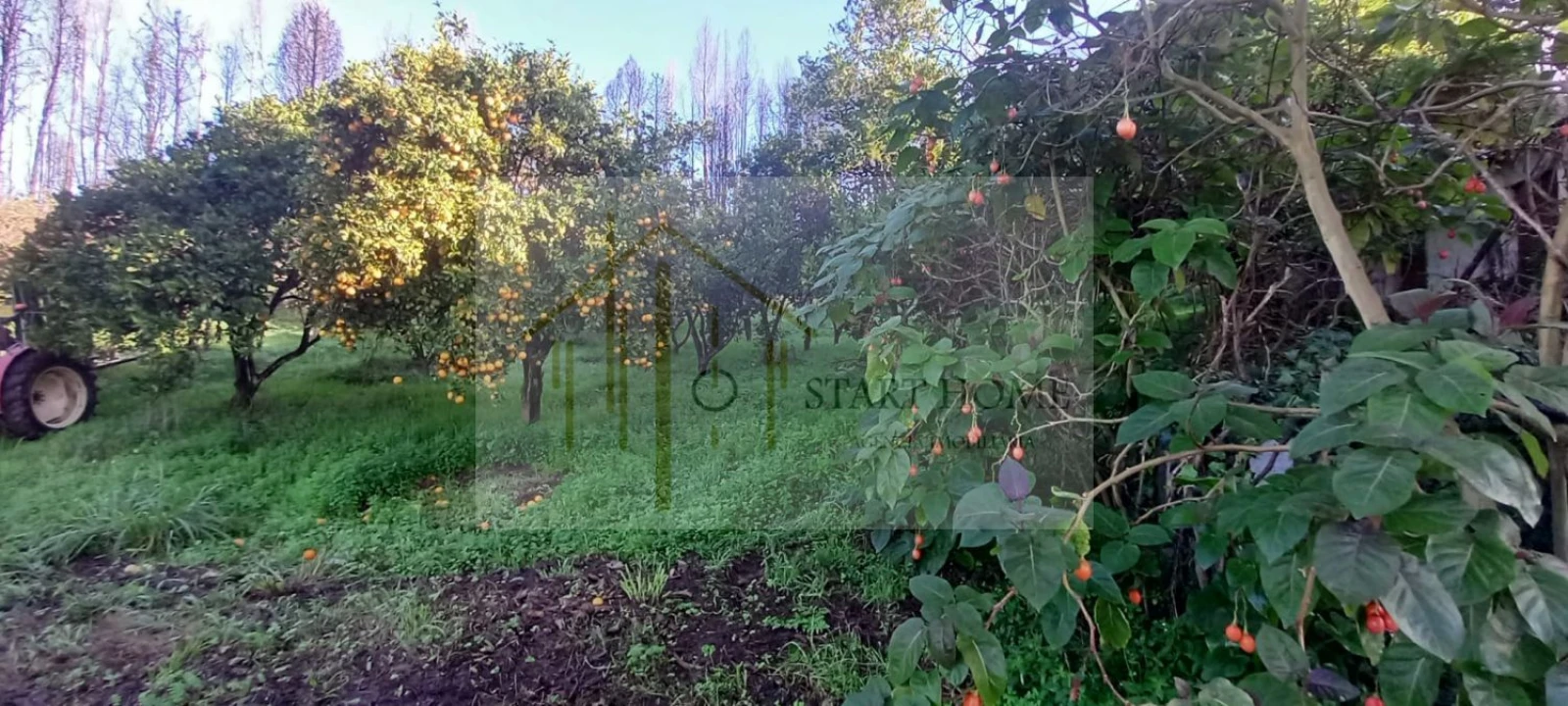 Quinta T6 para Venda em Valongo do Vouga Foto 42