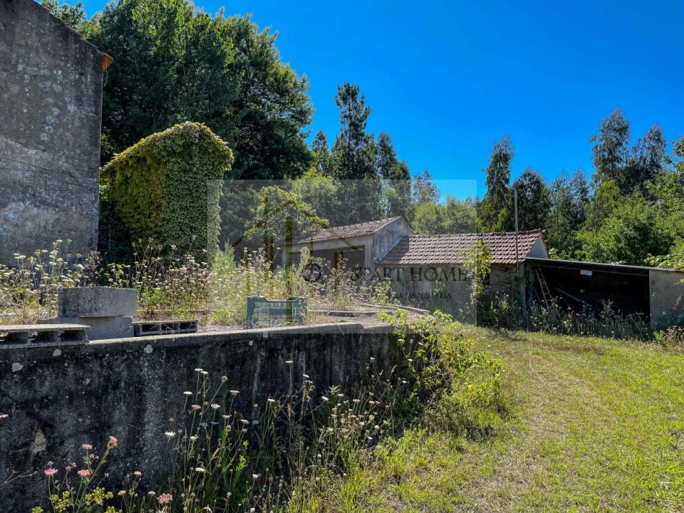 Quinta T6 para Venda em Valongo do Vouga Foto 21