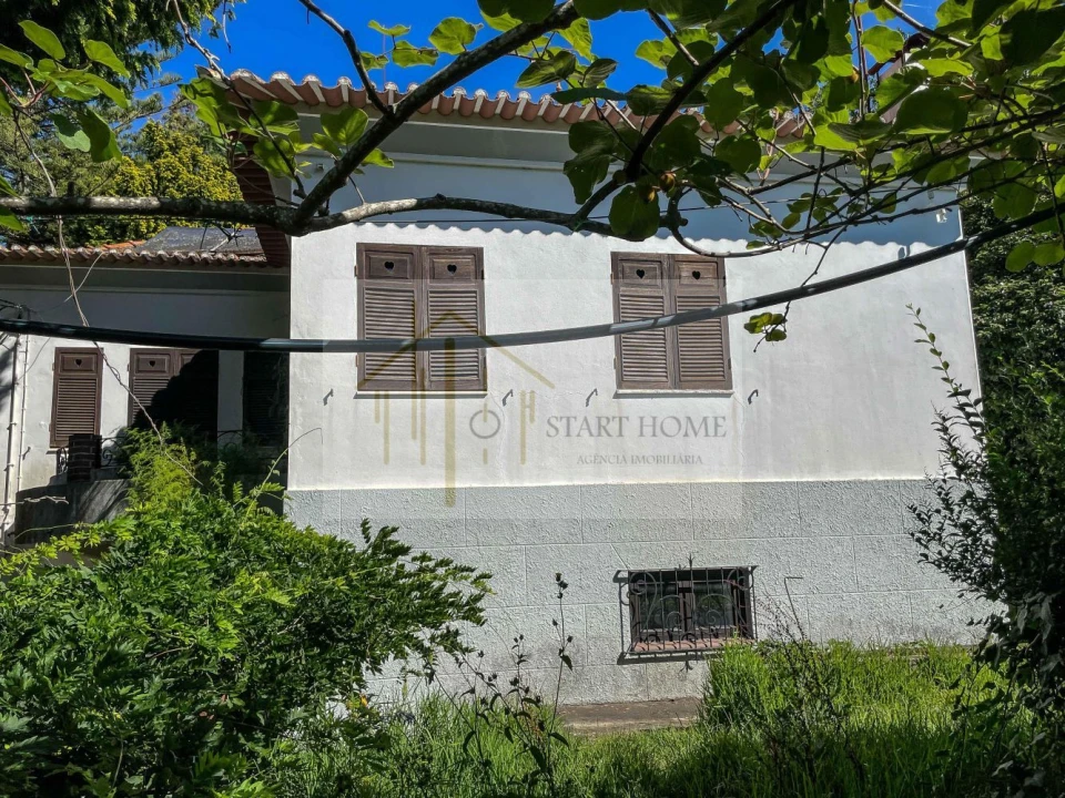 Quinta T6 para Venda em Valongo do Vouga Foto 7