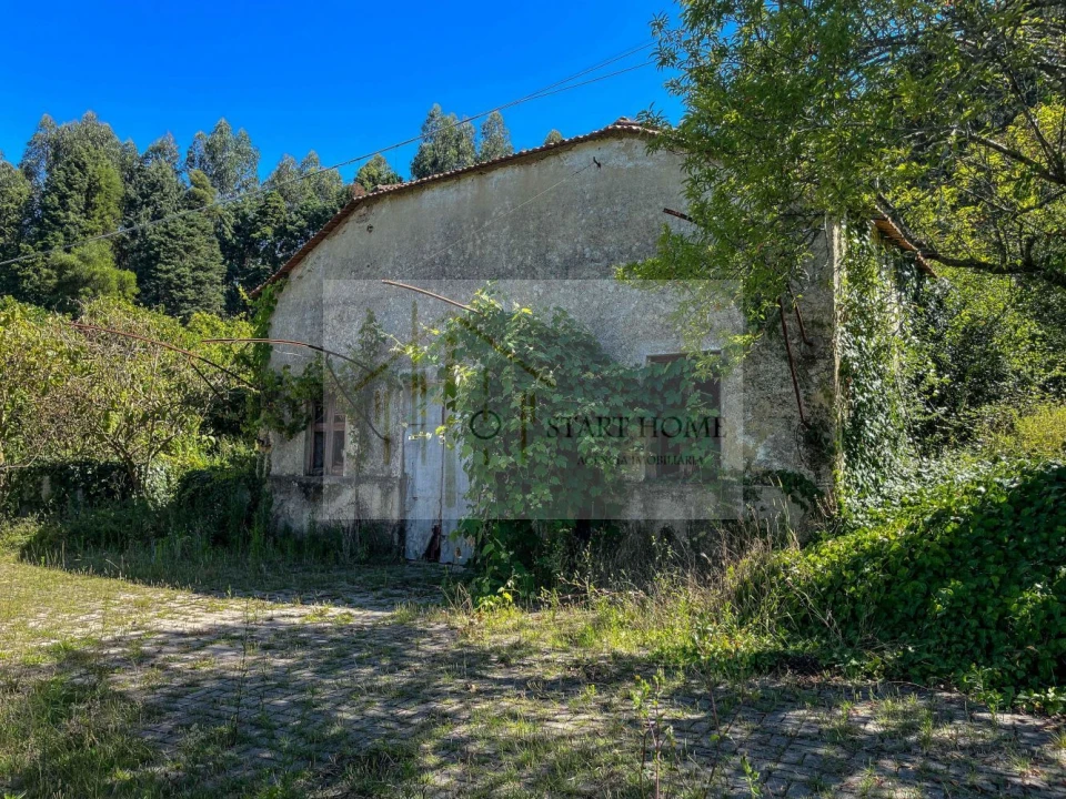 Quinta T6 para Venda em Valongo do Vouga Foto 33