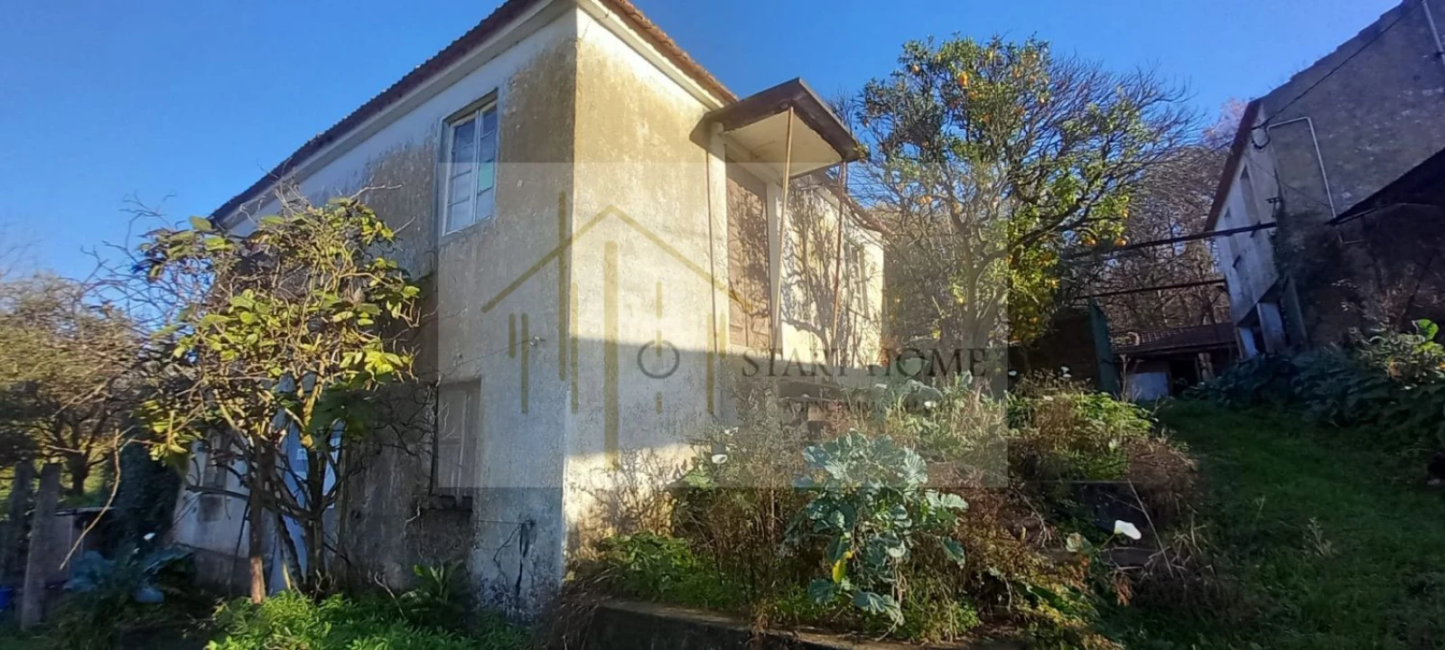 Quinta T6 para Venda em Valongo do Vouga Foto 44